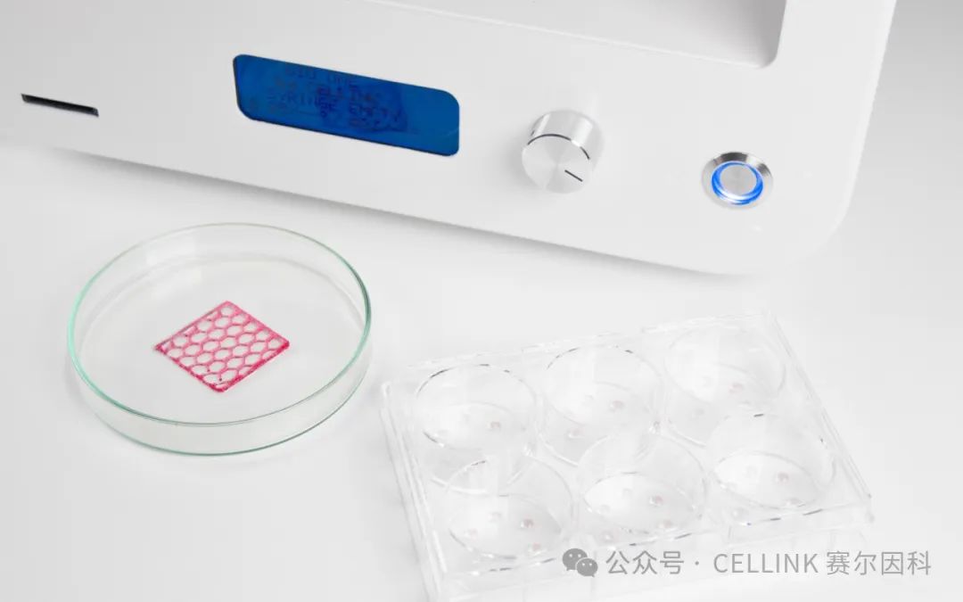 【新产品】BIO ONE：3D细胞培养科研新伙伴！
