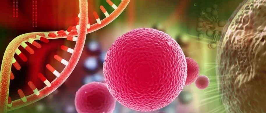 RNA靶向基因激活疗法的原理和用途。
