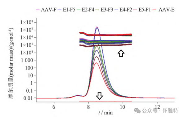 新技术！使用SEC-UV-MALS-RI技术分析rAAV颗粒滴度和实心率