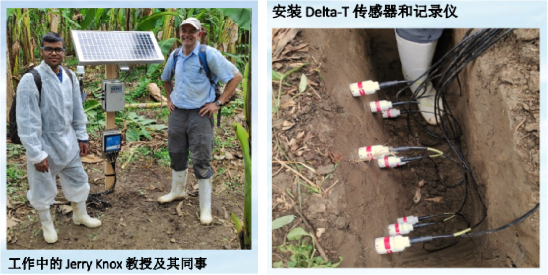 小仪器大应用｜SM150T，帮助改善香蕉灌溉管理并提高产量